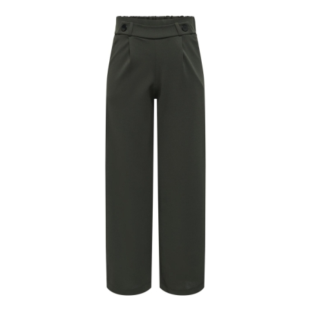 JDYGEGGO NEW LONG PANT JRS NOO 186898001 Peat/