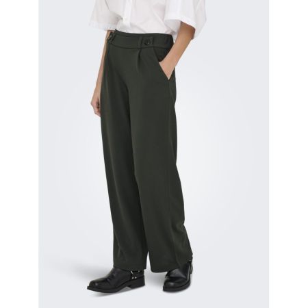 JDYGEGGO NEW LONG PANT JRS NOO 186898001 Peat/