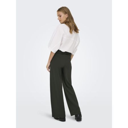 JDYGEGGO NEW LONG PANT JRS NOO 186898001 Peat/