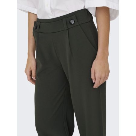JDYGEGGO NEW LONG PANT JRS NOO 186898001 Peat/