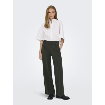 JDYGEGGO NEW LONG PANT JRS NOO 186898001 Peat/