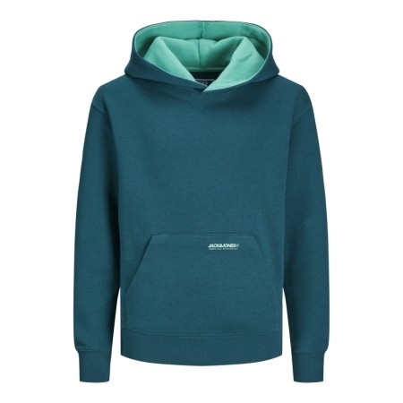 JJELEGACY SWEAT HOOD NOOS JNR 176441003 Deep