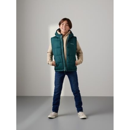 LVB ESSENTIAL VEST B84 BISTRO GREE