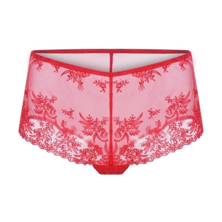 EMBROIDERY BRAZILIAN BRIEF RED