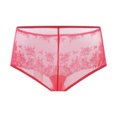 EMBROIDERY BRAZILIAN BRIEF RED