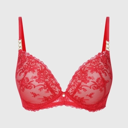 EMBROIDERY LACE BRA RED