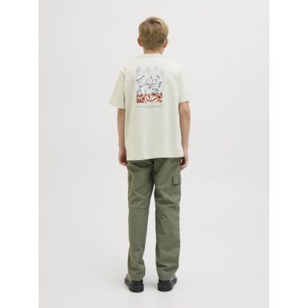 JPSTKARL JJADAMS CARGO PANTS J 176519 Agave Gr