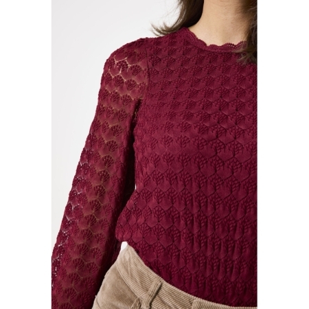  2546-cabernet
