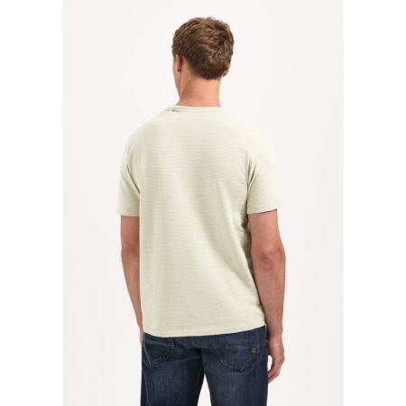  197 Light Moss