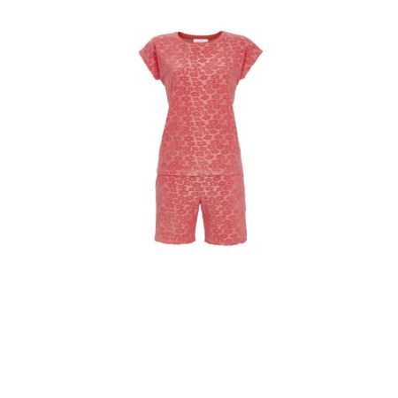  351 light red