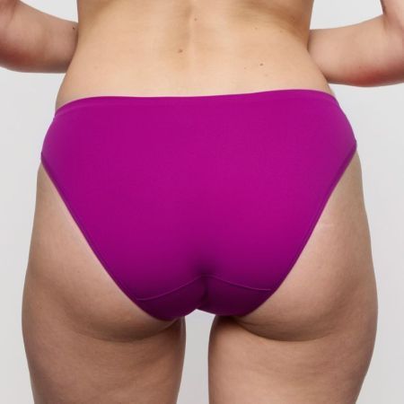 SOFT STUDIO WIR wild rose