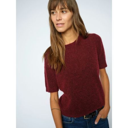  273 Cabernet