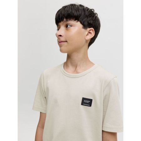 JJCLEVELAND TEE SS CREW NECK S 176631 Moonbeam