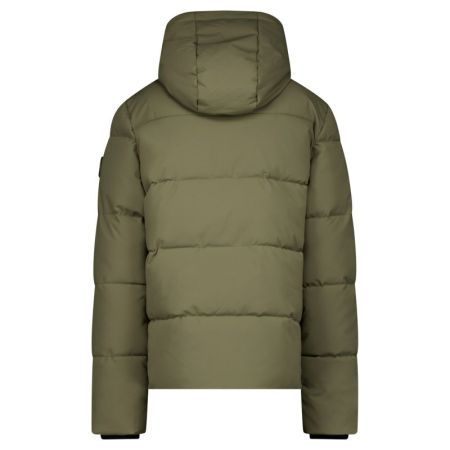 18 Olive
