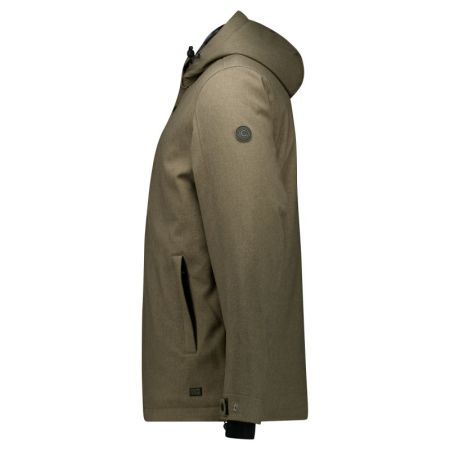  18 Olive