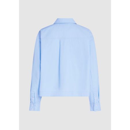  1702 Placid blu