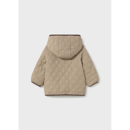 91 Hazelnut