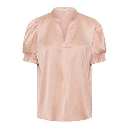  141506 Ash Rose