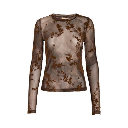  5050P Toffee Pr