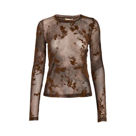  5050P Toffee Pr