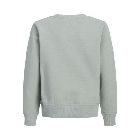 JJECOLTON SWEAT CREW NECK SN J 176695 Slate Gr