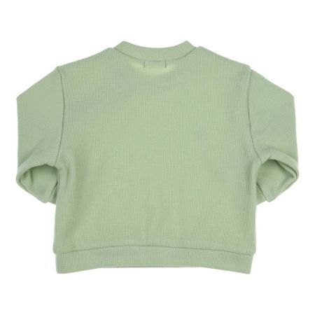  GN Green