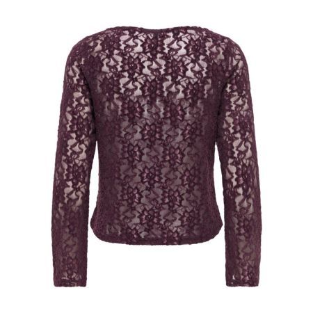 ONLNOLA L/S LACE VELVET TOP JR 188839 Winetast