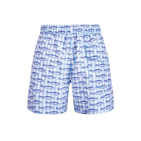 SARDINE MULTIE