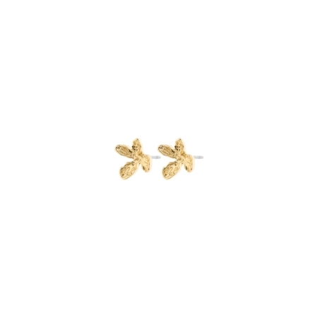 262522013 GOUD